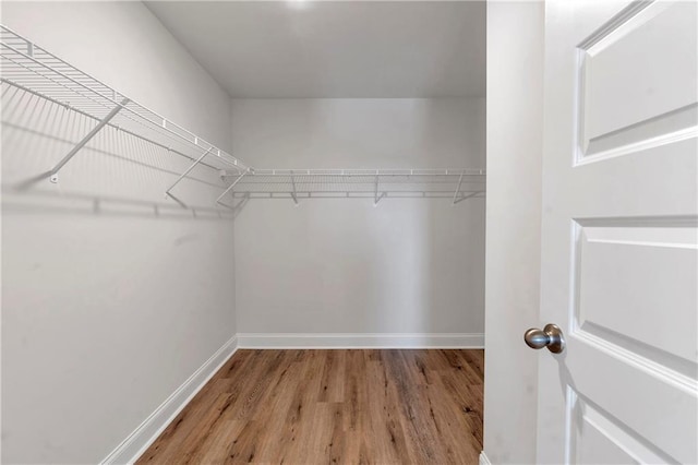 walk in closet with light wood-type flooring