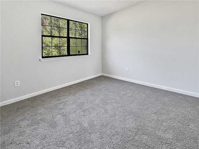 spare room with carpet floors