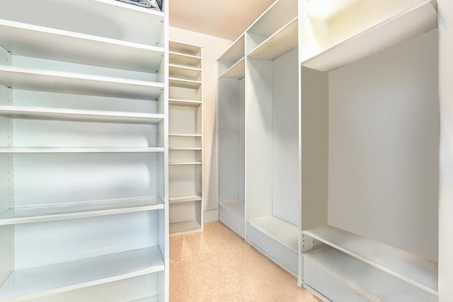 1216 Virginia Ct NE Unit 8, Atlanta, GA 30306 - walk in closet with light carpet