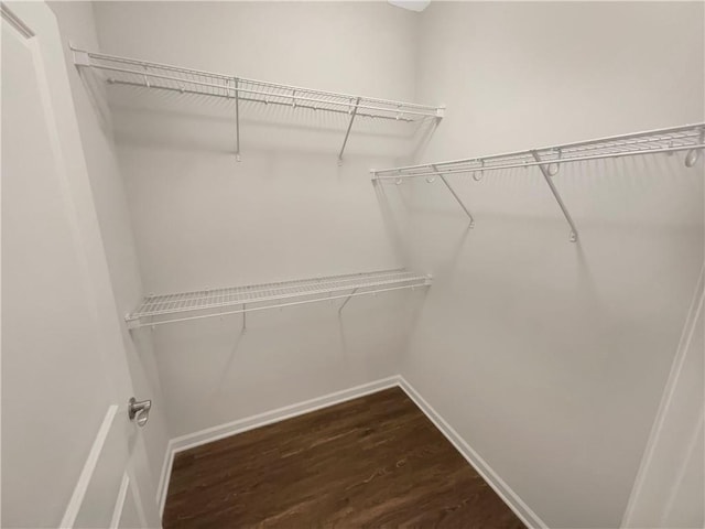 walk in closet featuring dark hardwood / wood-style floors