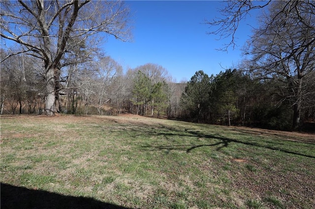 view of yard with a wooded view