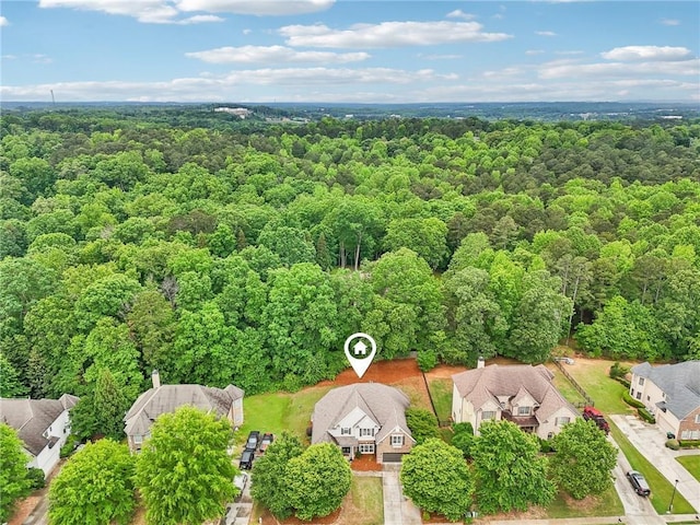 bird's eye view of a forest