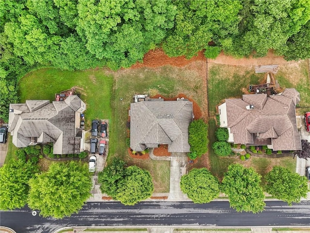 bird's eye view