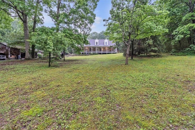 view of grassy yard