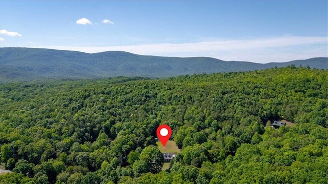 drone / aerial view of a forest and a mountain backdrop