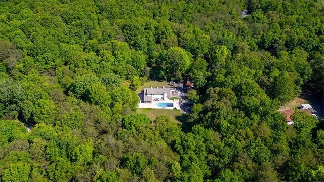 bird's eye view of a forest