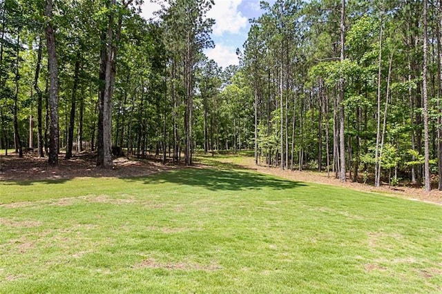 1505 Willis Rd, Barnesville, GA 30204 - view of green lawn featuring a view of trees
