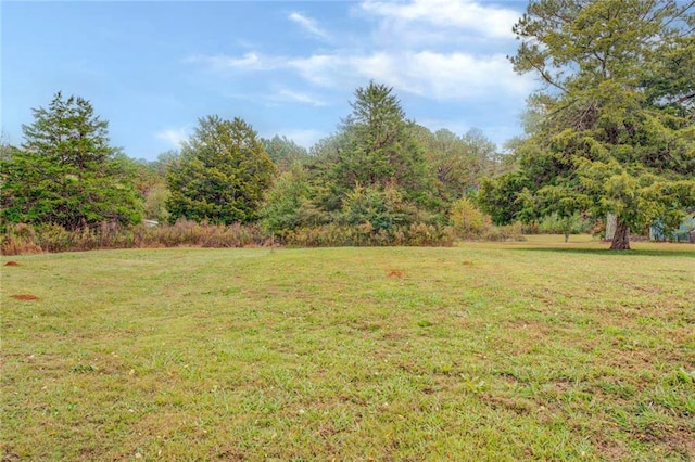 1187 Dixie Rd, Covington, GA 30014 - view of green lawn