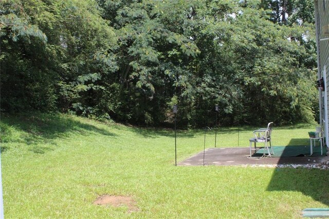 view of yard with a patio area