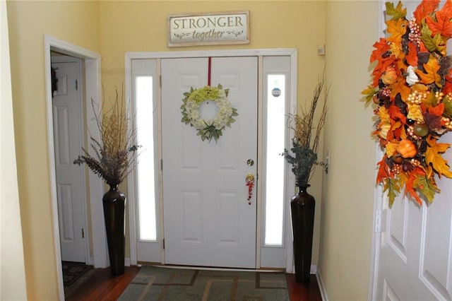 foyer with dark wood-type flooring