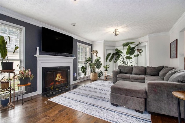 1452 Crooked Tree Cir, Stone Mountain, GA 30088 - living area featuring plenty of natural light, wood finished floors, a fireplace with flush hearth, a textured ceiling, and ornamental molding