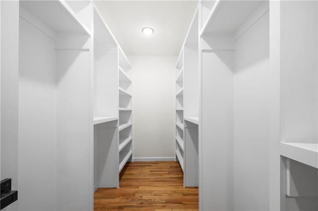 spacious closet with hardwood / wood-style flooring