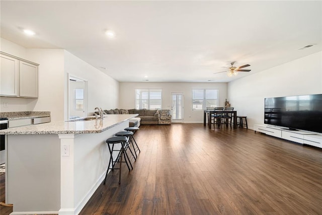 kitchen featuring an island with sink, light stone counters, open floor plan, dark wood-type flooring, and a kitchen bar