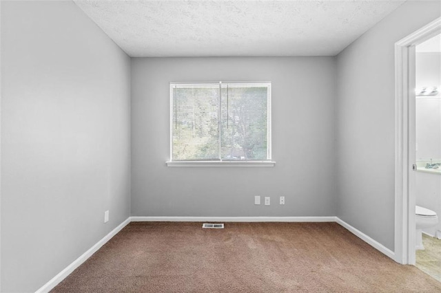 empty room with carpet and a textured ceiling