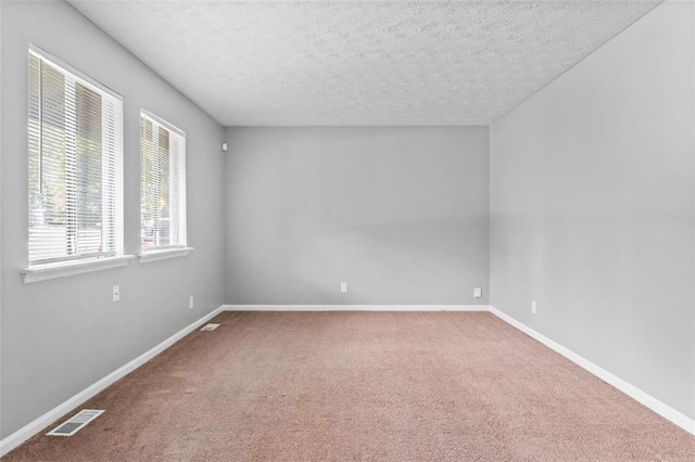 spare room with carpet flooring and a textured ceiling