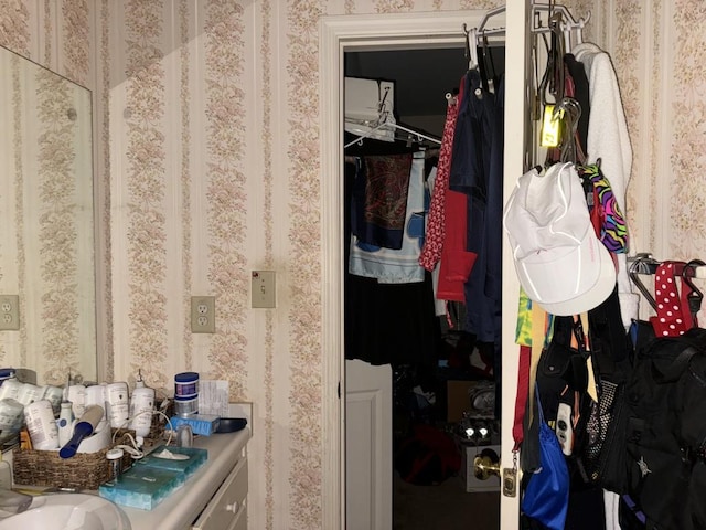 closet featuring sink