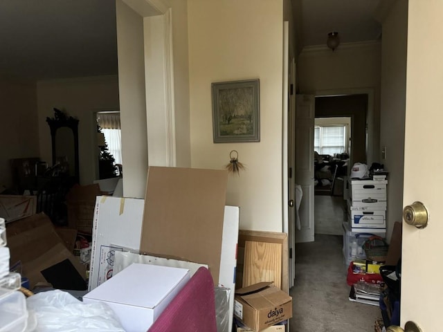 interior space featuring ornamental molding and carpet