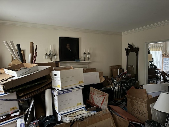 miscellaneous room featuring ornamental molding