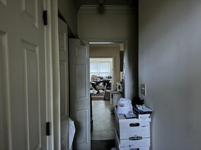 hall featuring carpet floors and crown molding