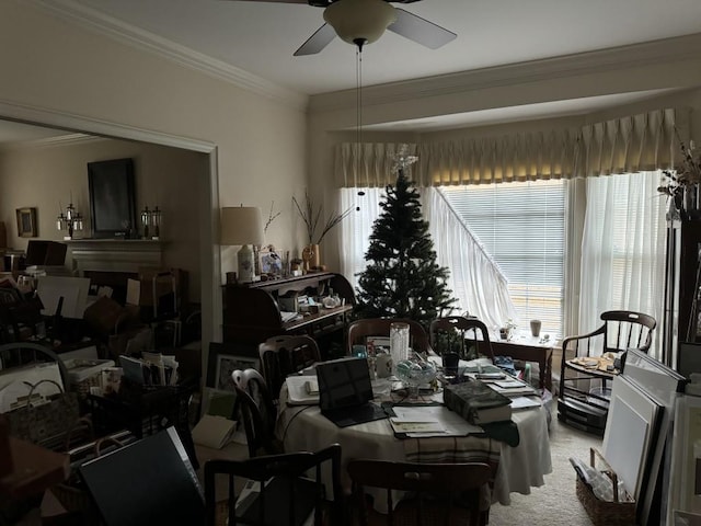 dining space with carpet floors, ceiling fan, and crown molding