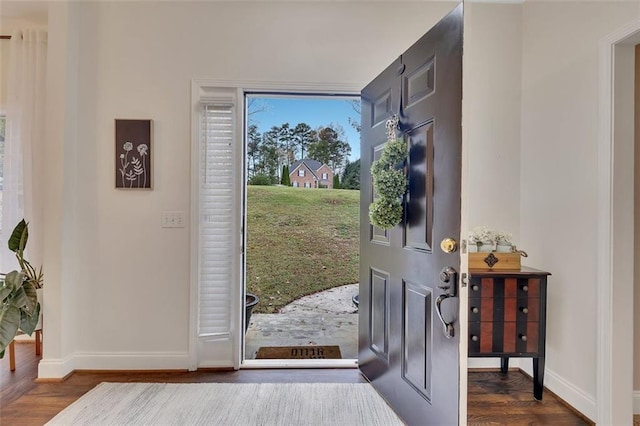 foyer with dark wood-type flooring