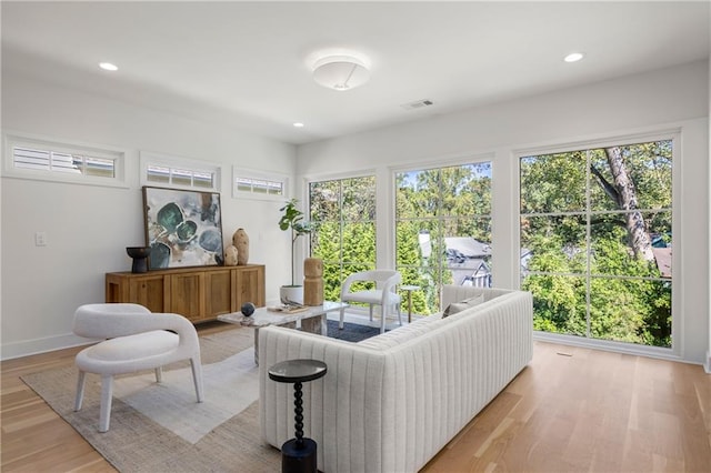 living room with light hardwood / wood-style flooring and a wealth of natural light