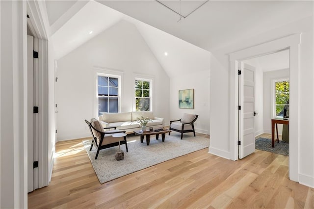 living area featuring light hardwood / wood-style flooring and high vaulted ceiling