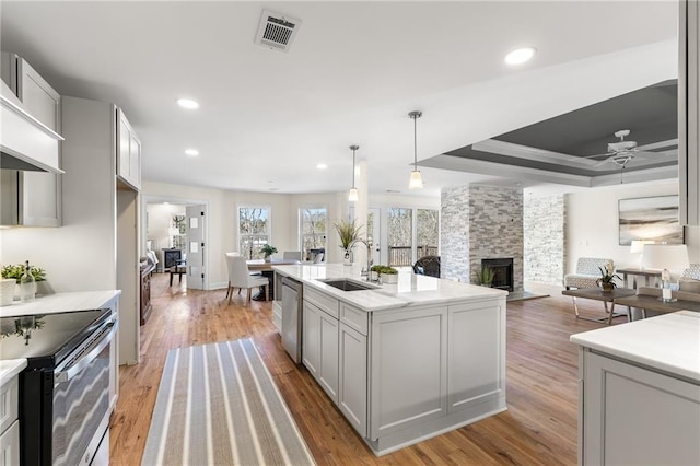 kitchen featuring visible vents, a tray ceiling, appliances with stainless steel finishes, a fireplace, and a sink