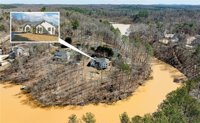 drone / aerial view featuring a view of trees and a water view