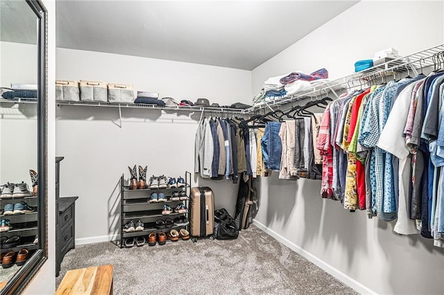 spacious closet featuring carpet