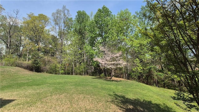 1015 Pebble Creek Trl, Suwanee, GA 30024 - view of yard with a view of trees