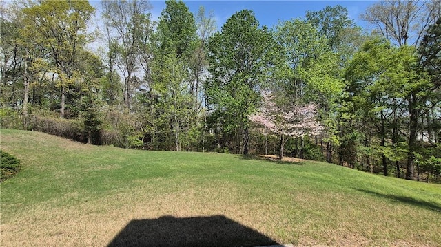 1015 Pebble Creek Trl, Suwanee, GA 30024 - view of yard
