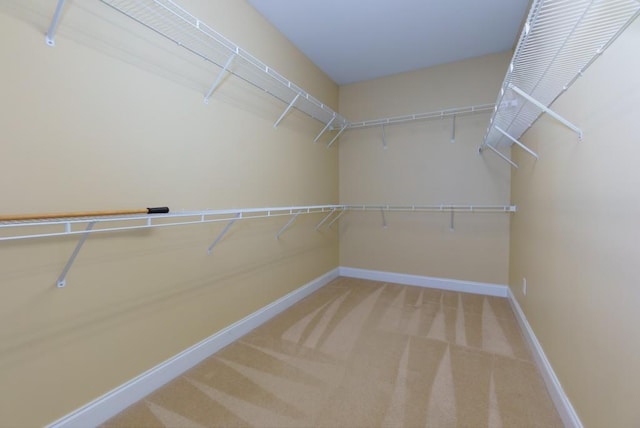 walk in closet featuring carpet