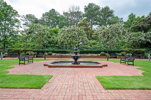 3657 Peachtree Rd NE Unit 4A, Atlanta, GA 30319 - view of home's community featuring a yard and view of scattered trees