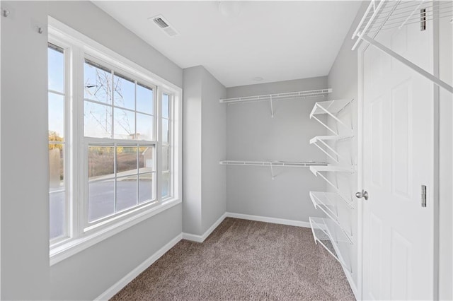 spacious closet with carpet