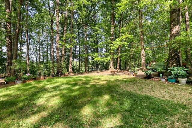 view of yard