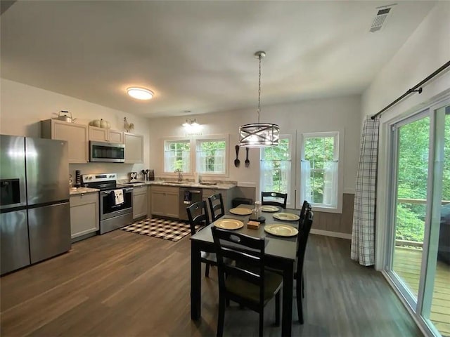 kitchen with hanging light fixtures, appliances with stainless steel finishes, plenty of natural light, and dark wood-type flooring