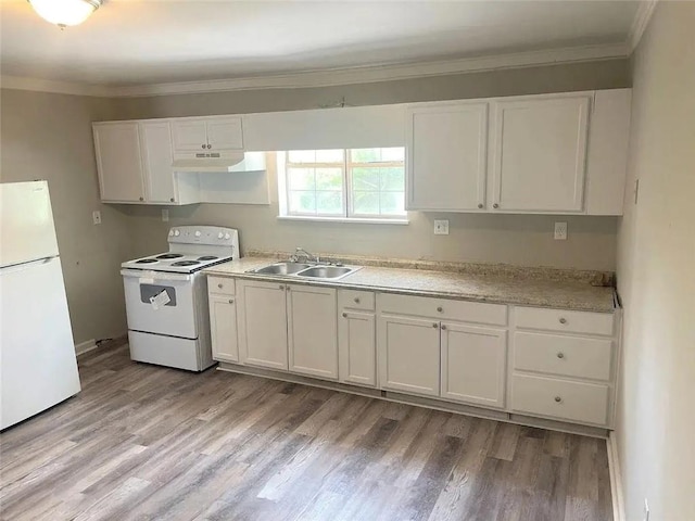 kitchen with sink, light hardwood / wood-style flooring, white appliances, white cabinets, and ornamental molding