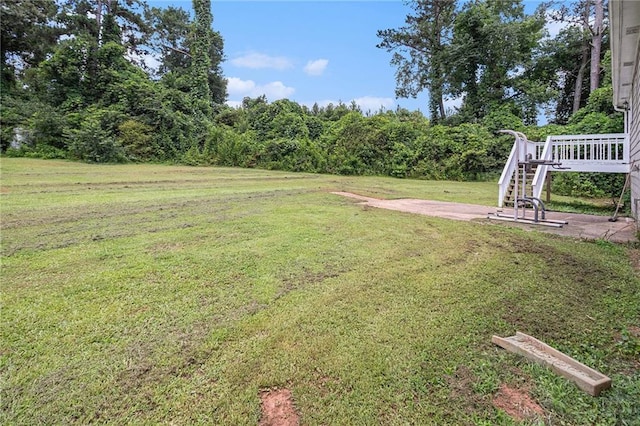 28 Fawn Ct, Sharpsburg, GA 30277 - view of green lawn