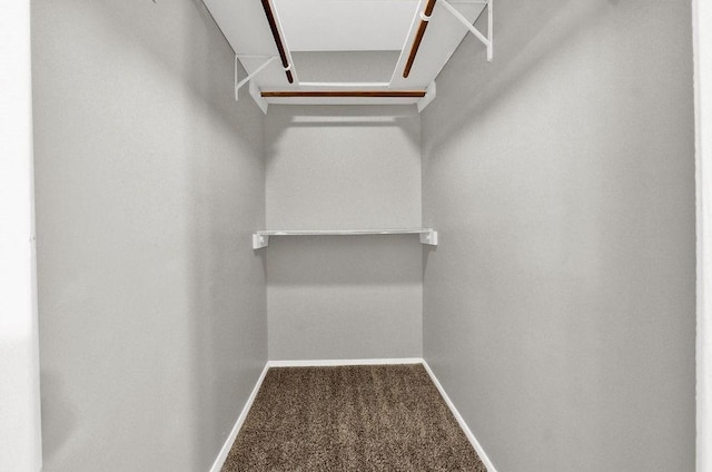 1234 Wellhouse Walk, Stone Mountain, GA 30088 - spacious closet with carpet