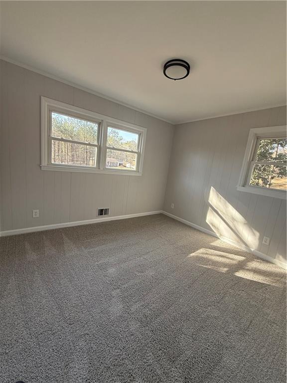 empty room with carpet floors, a healthy amount of sunlight, and crown molding