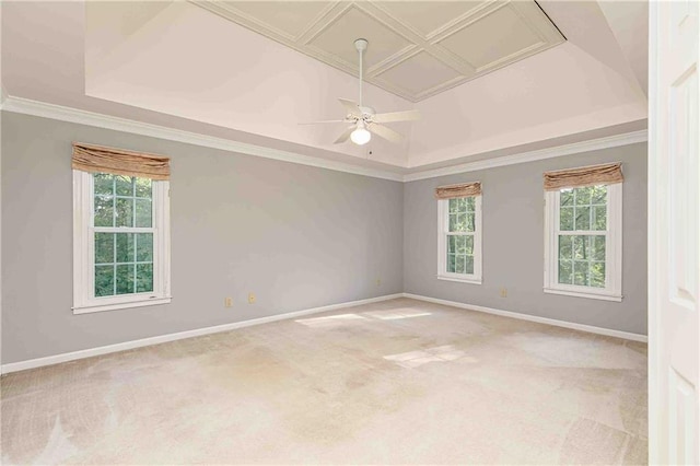 spare room with carpet flooring, healthy amount of natural light, baseboards, a tray ceiling, and crown molding