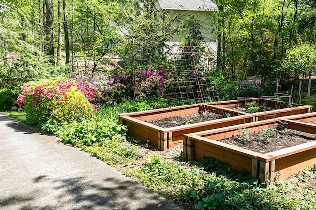 view of yard featuring a garden
