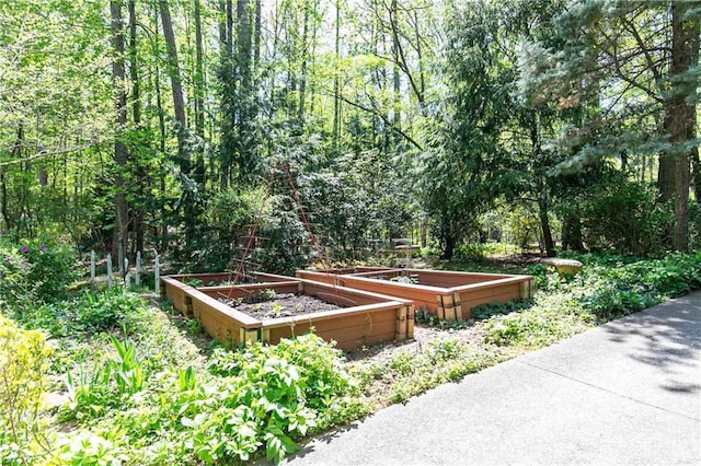 view of home's community featuring a vegetable garden
