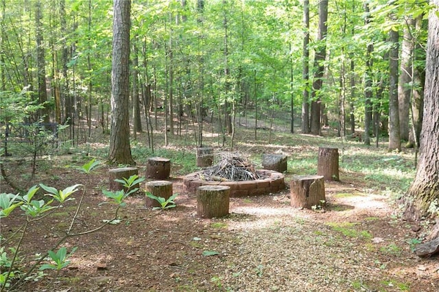 view of yard with an outdoor fire pit and a view of trees