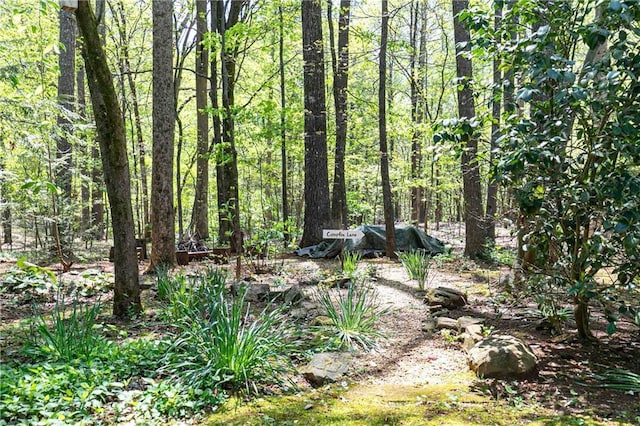 view of tree filled area