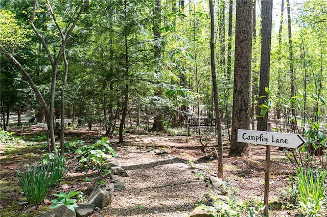 view of tree filled area