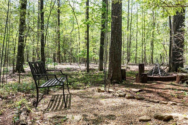 view of yard with a wooded view