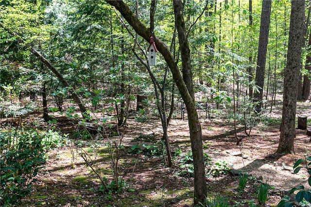 view of tree filled area