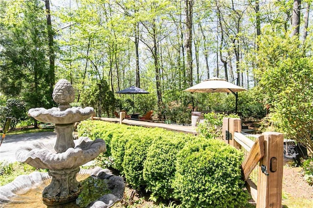 view of yard